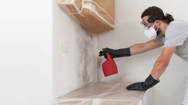 Professional Bathroom Mold Removal technician working in Groveland, FL