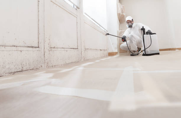 24/7 Emergency Bathroom Mold Removal experts in Groveland, FL