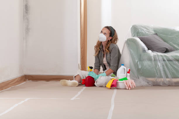 Reliable Bathroom Mold Removal contractor in Groveland, FL by 24 Hour Mold Removal